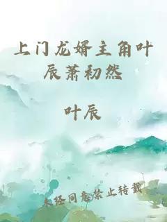 上门龙婿主角叶辰萧初然